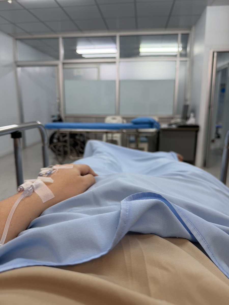 🌸 Princess Hinghoi Lite 🌸 tweet media