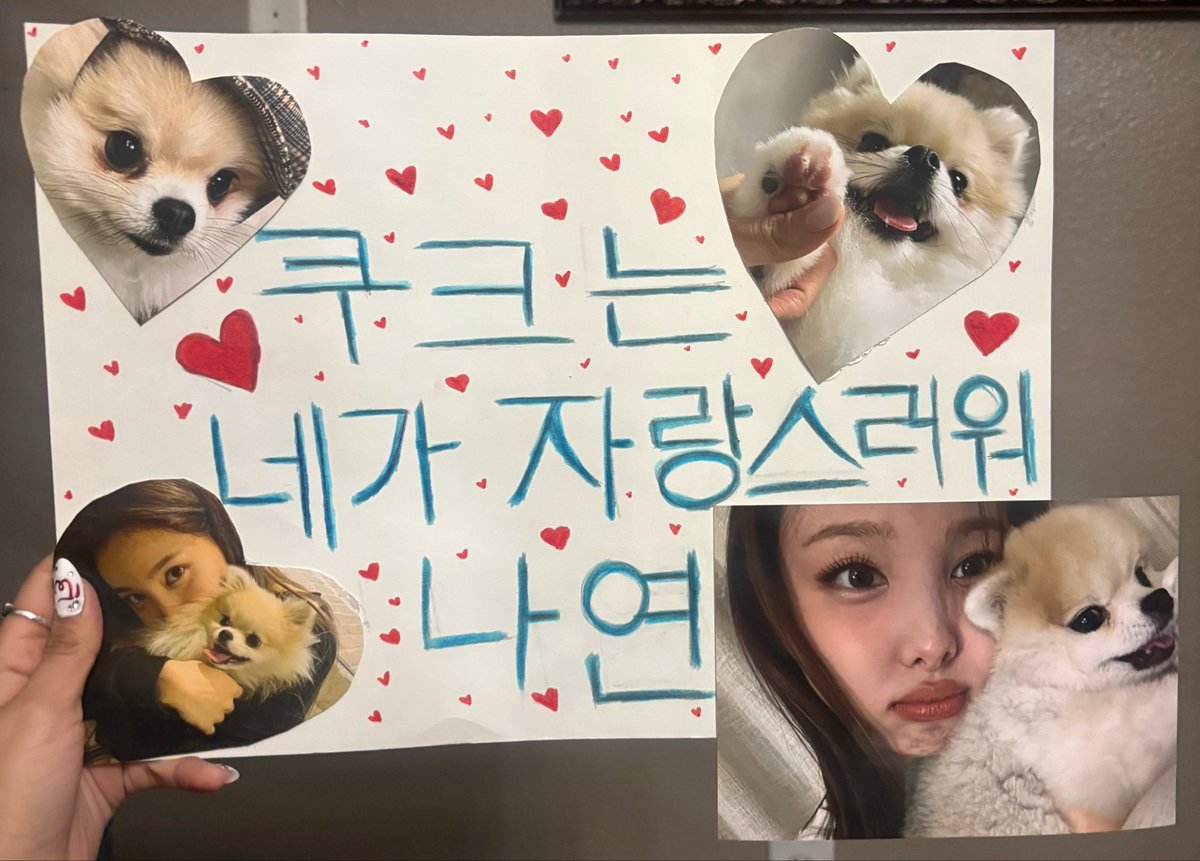 Nayeon Fan tweet media