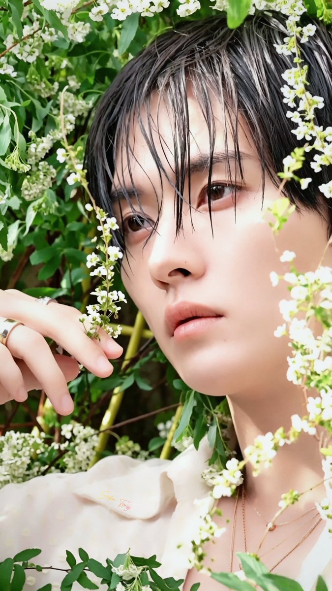 sasha tseng tweet media