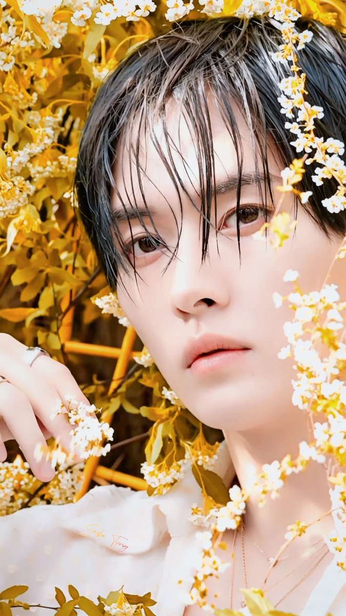 sasha tseng tweet media