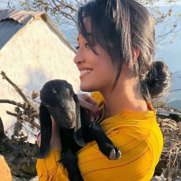 🪷🩷🌺 tweet media