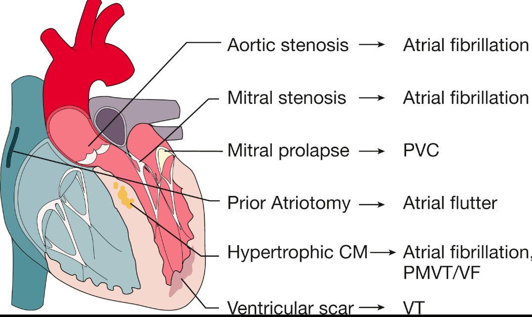 CardiovascularCorner tweet media