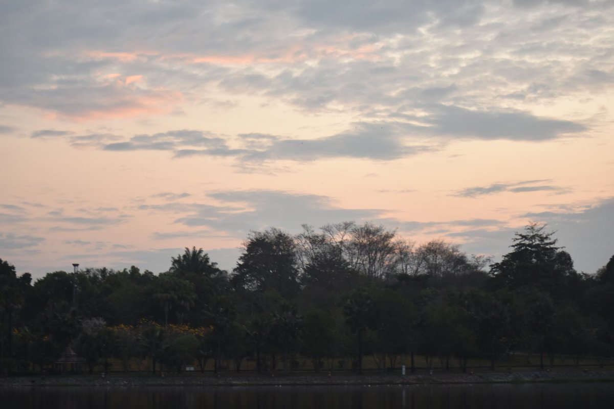 Cerberane's tweet image. More Lovely views from one of my morning #walks around อ่างเก็บน้ำหนองบัว in late February 
วิวสวยๆ จากการเดินเที่ยวรอบๆ อ่างเก็บน้ำหนองบัวช่วงปลายเดือนกุมภาพันธ์
#sunrise
#lake 
#mountains
#nature
#naturelovers
#naturephotography