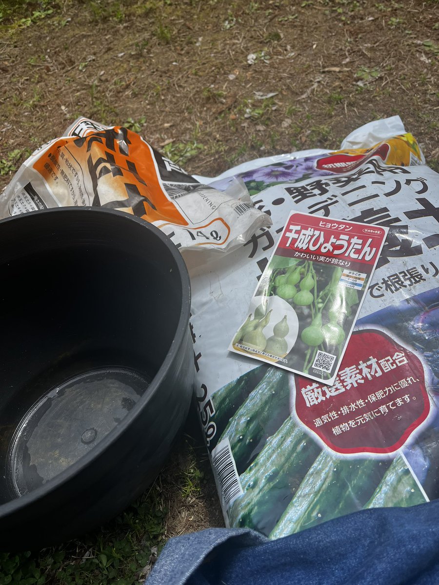 MEGA graphics tweet media