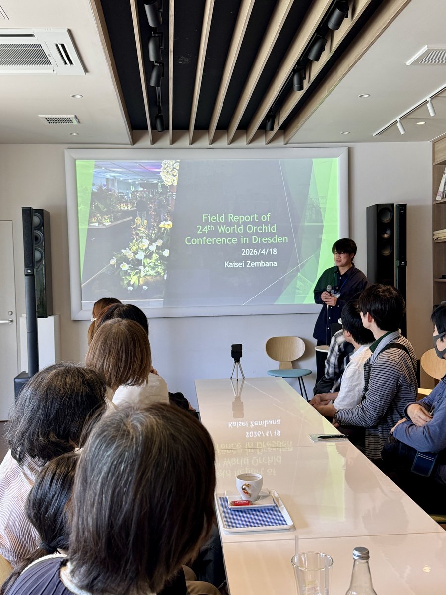 ベラビスタ tweet media