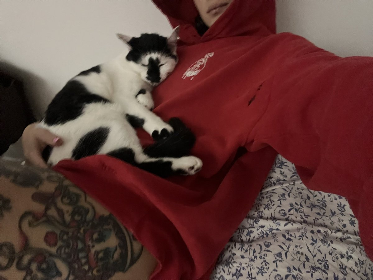 Ms. Chevious tweet media