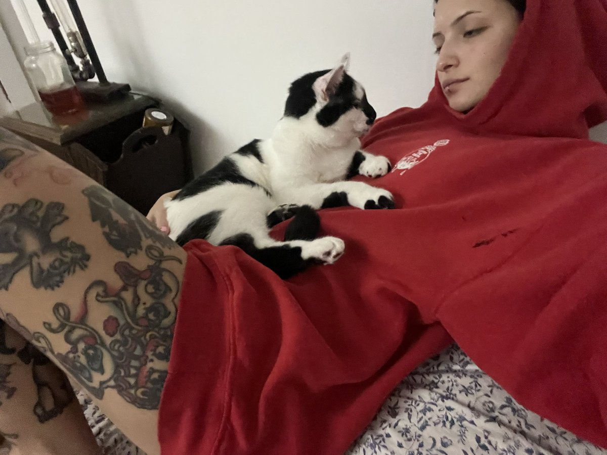 Ms. Chevious tweet media