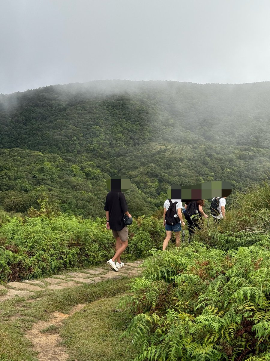 Whimsy 🍵🐰 tweet media