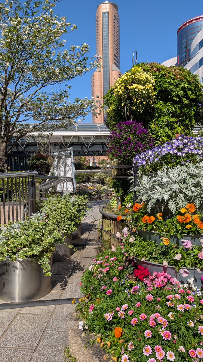 ☆kiminana☆ tweet media