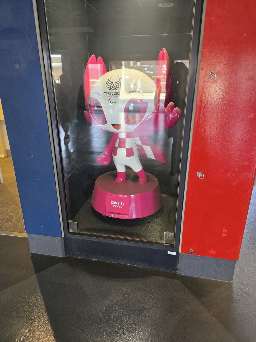 Nasu🐧🌞🐬 tweet media