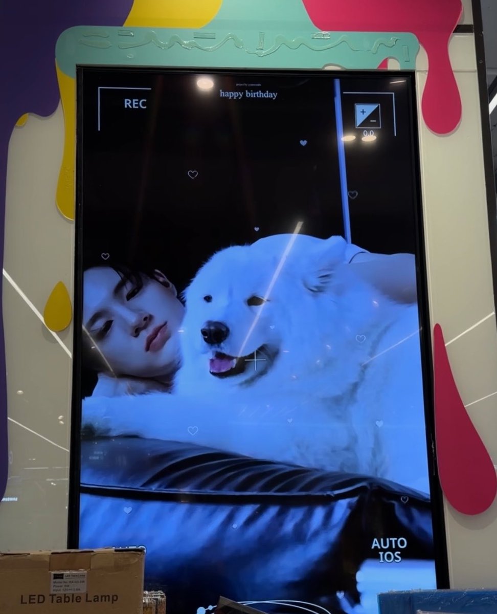 kiran ̴̶̷̥᷄ ·̫ o̴̶̷̥᷅ tweet media