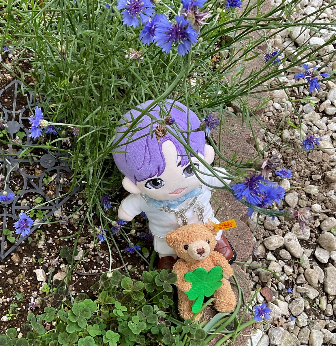 Mnchen77947449's tweet image. Mashiho Time

君と矢車草とクローバーと
花咲く君　violet colorで

ずっと　待ち遠しい　新譜

＃MASHIHO
＃UV