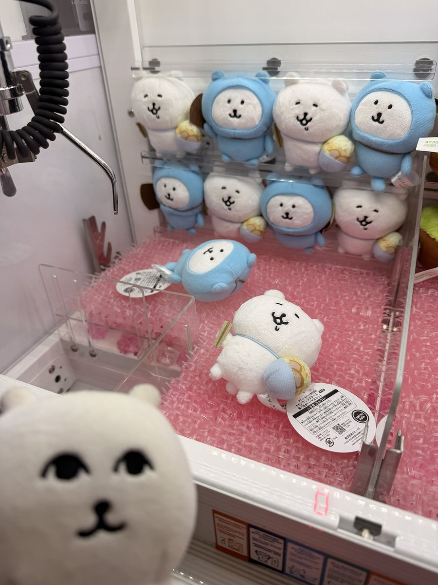 ハン@くま旅 tweet media