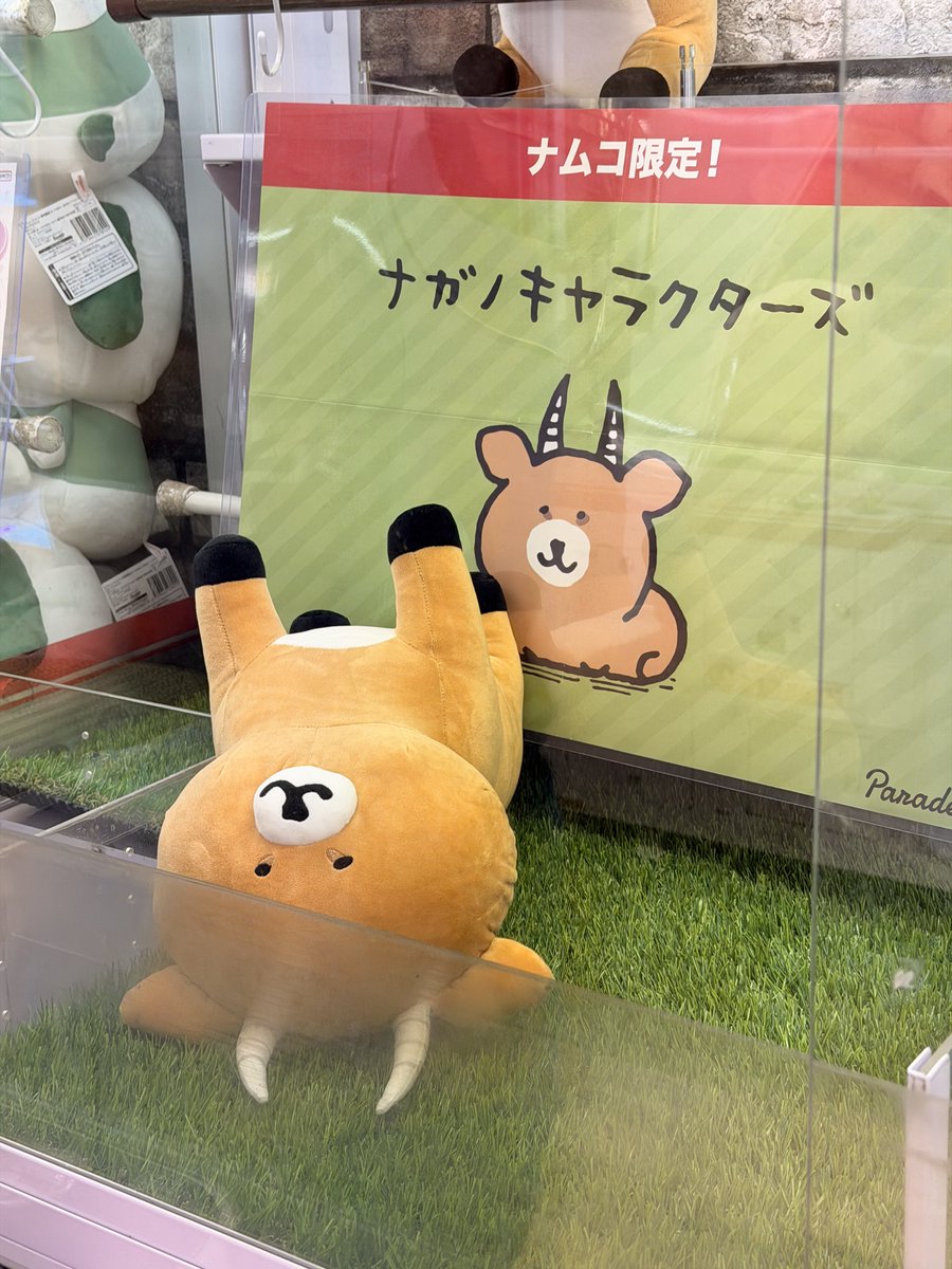 ハン@くま旅 tweet media