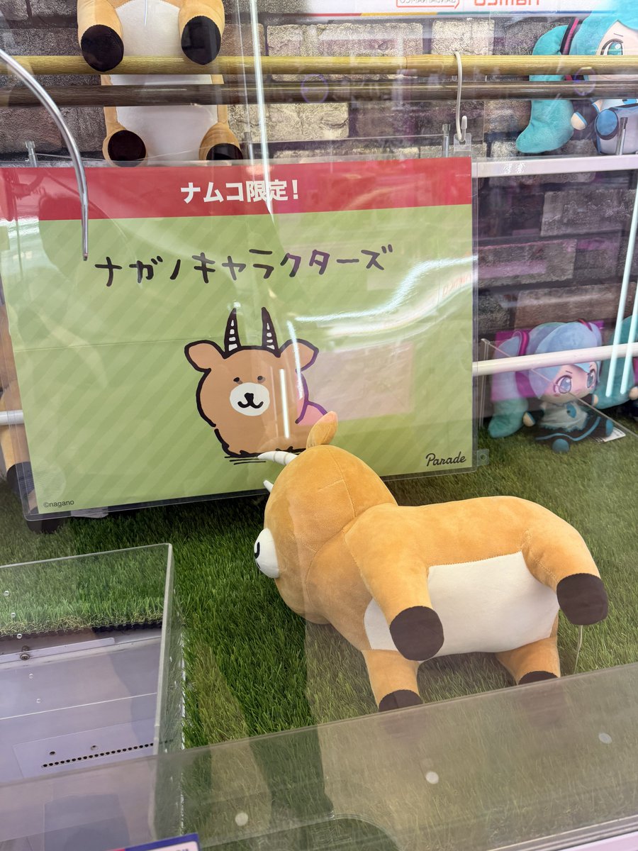 ハン@くま旅 tweet media