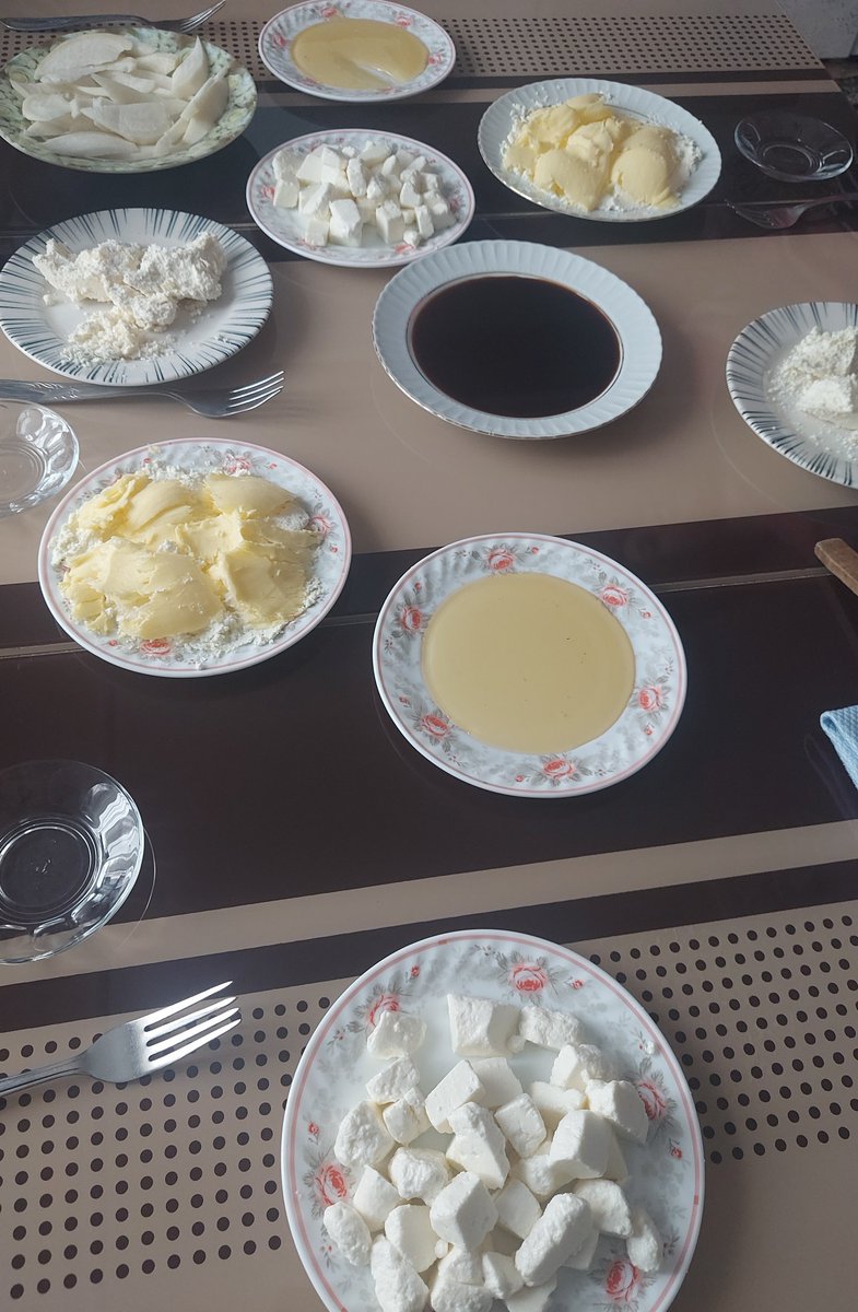 Homo Sapiens tweet media