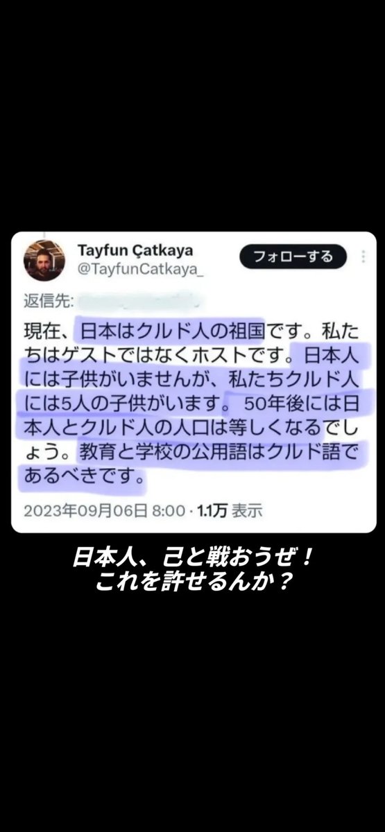 andi's toybox tweet media