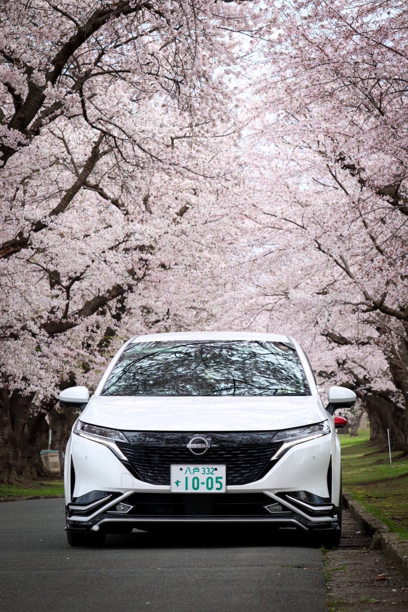 はるき tweet media