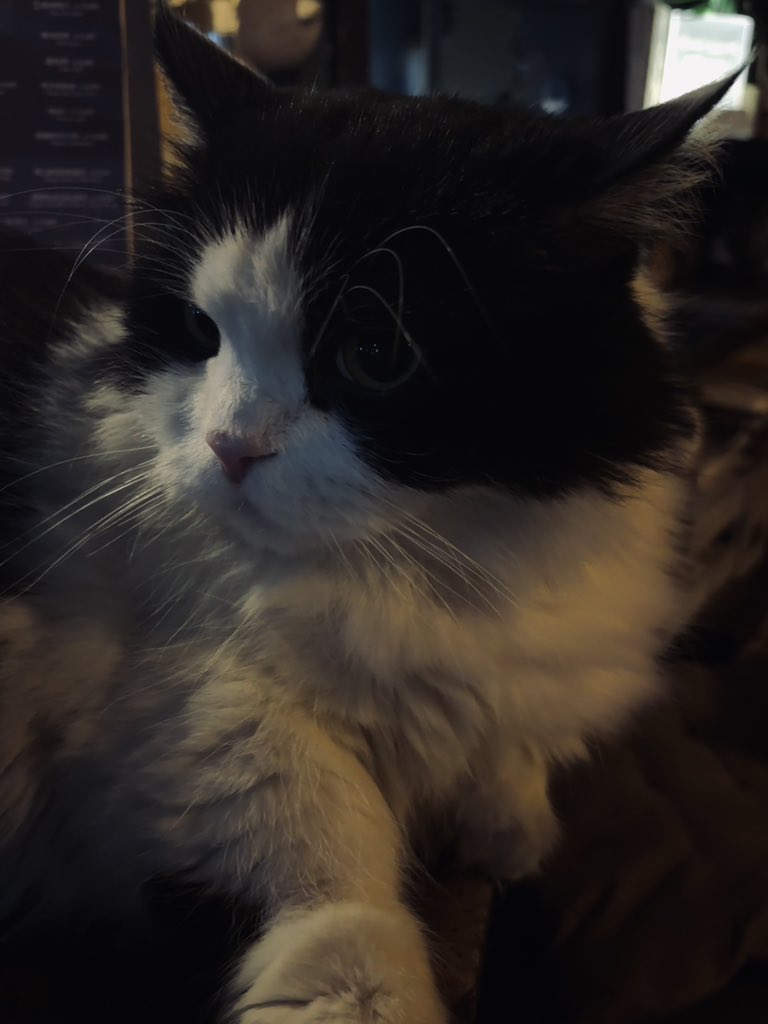 AM8IC_MEMBER tweet media