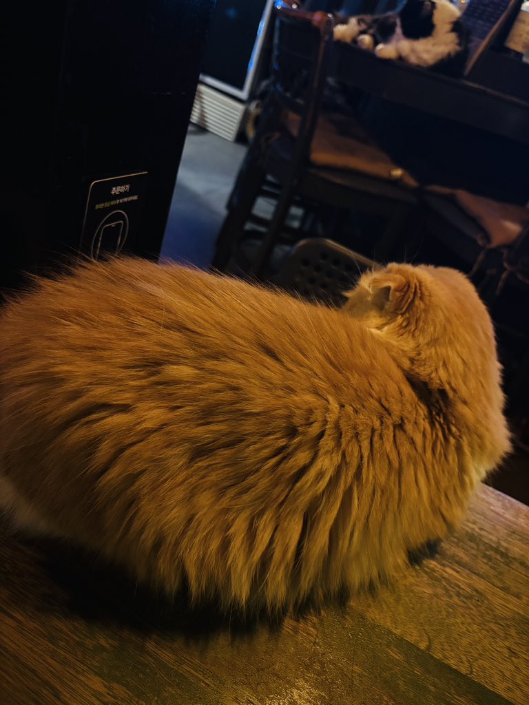 AM8IC_MEMBER tweet media