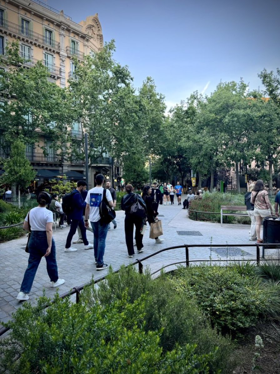 Alejandro Cencerrado tweet media