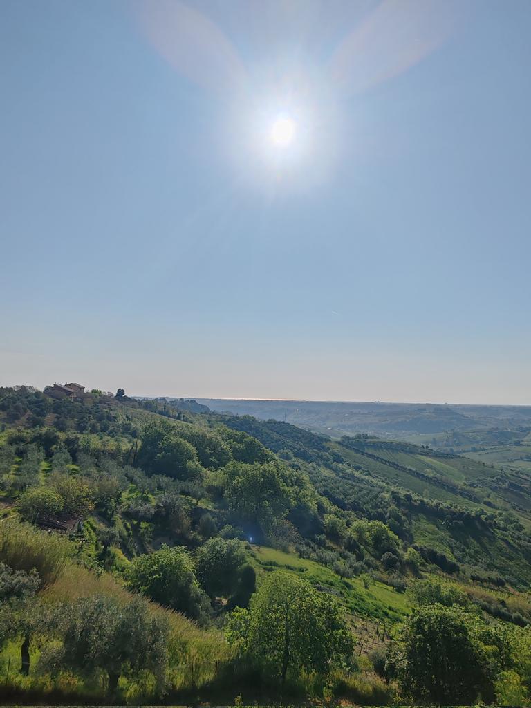 🌸:*☆:**: ✿ 𝐁𝕖lé𝓝 ✿:**:☆*:🌸 tweet media