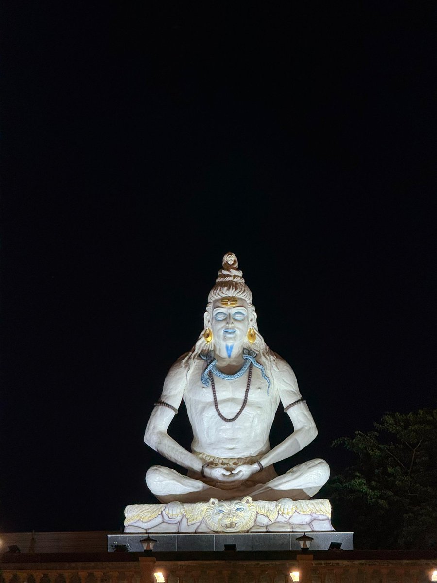 Prerna🌻 tweet media