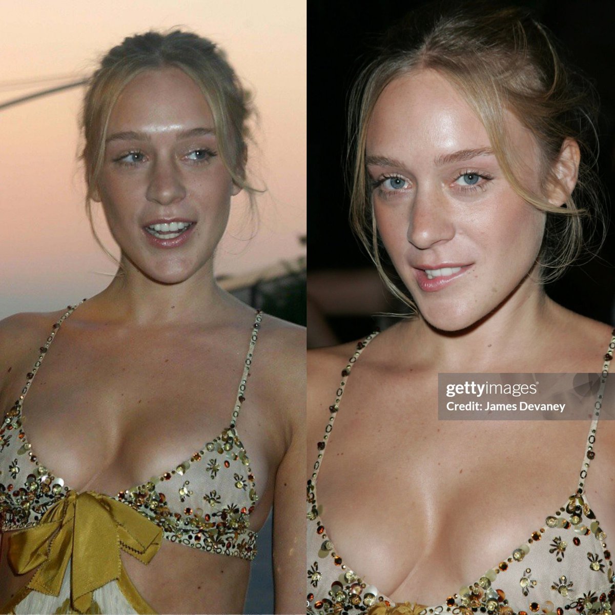 Chloë Sevigny, 2004