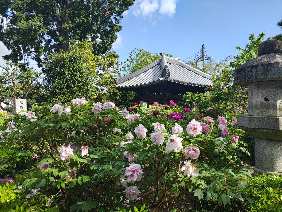 ざんざるぶ tweet media