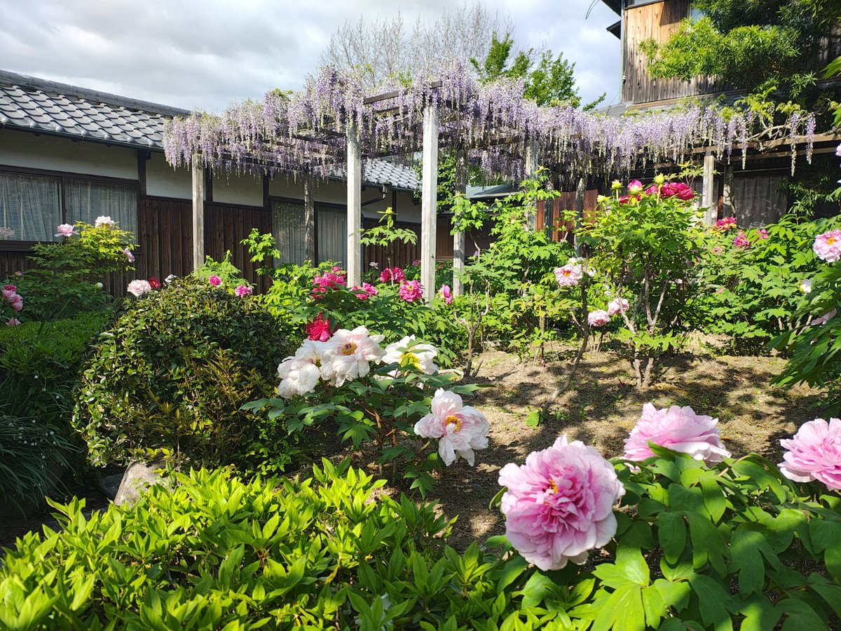 ざんざるぶ tweet media