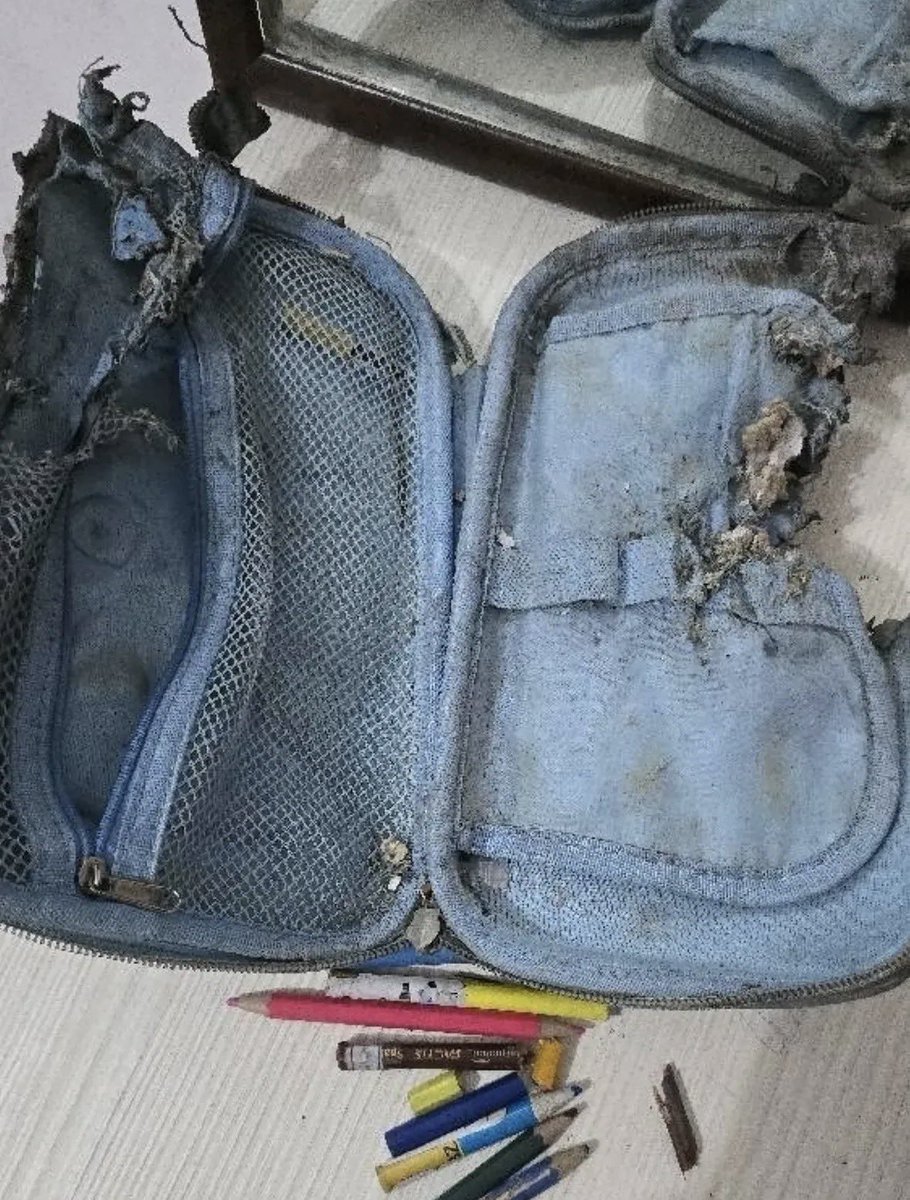 Iran in India tweet media