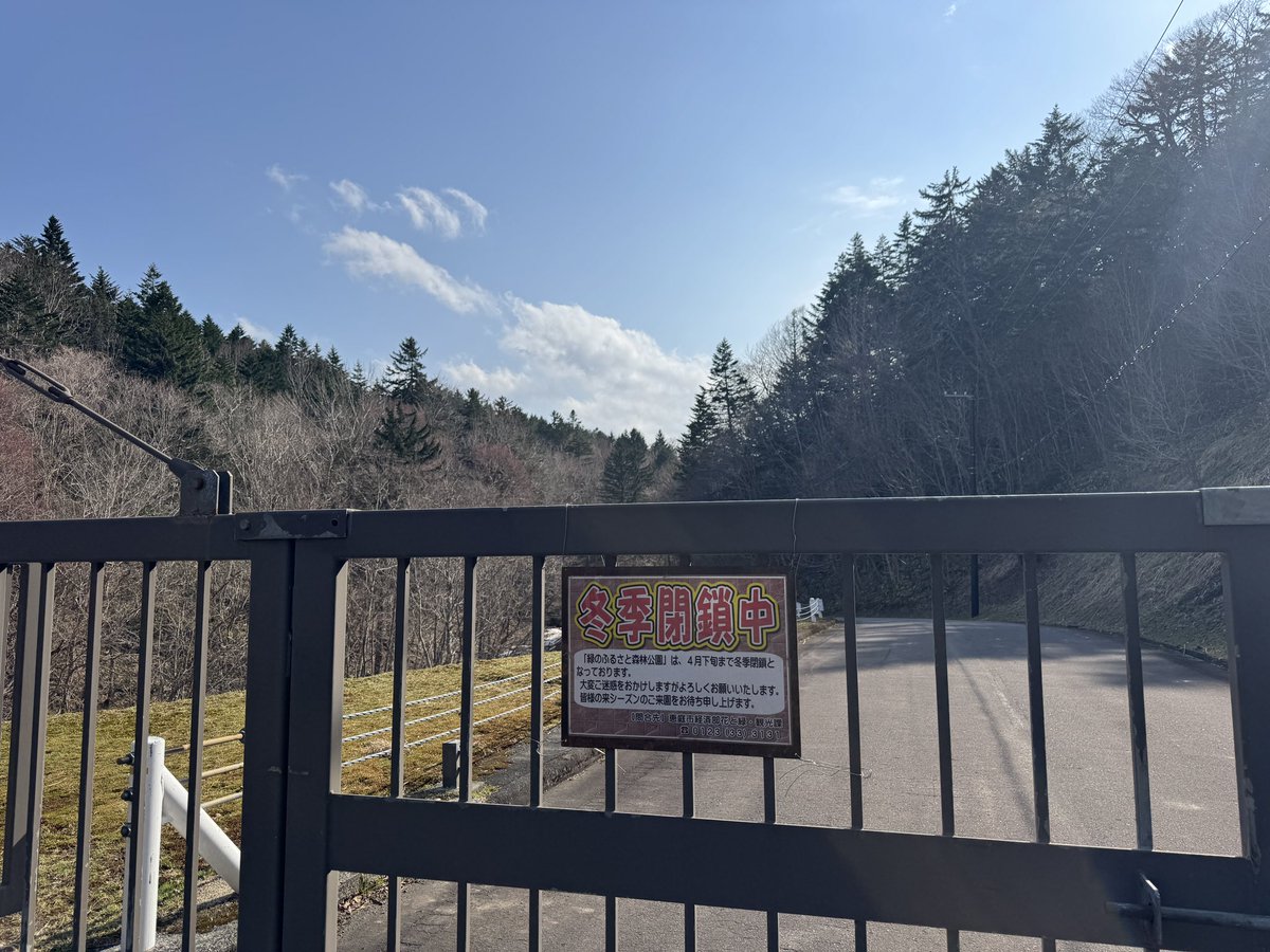 タンチモ tweet media