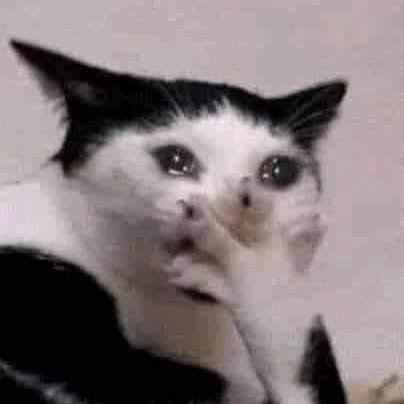 どらる tweet media