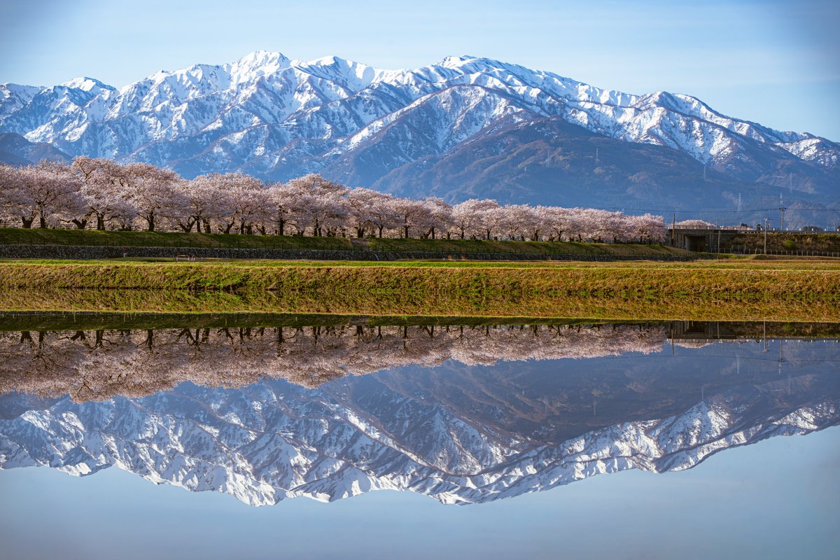 せさん🥐 tweet media