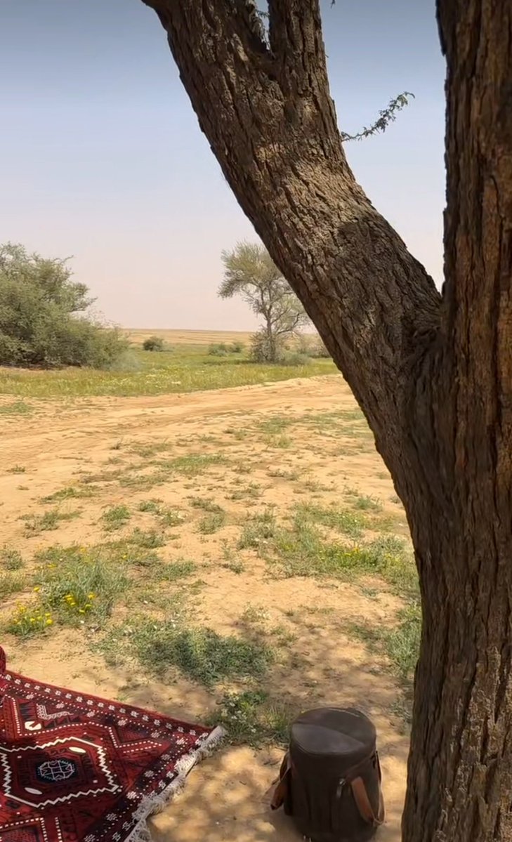 ‏فـوفـــــا .. tweet media