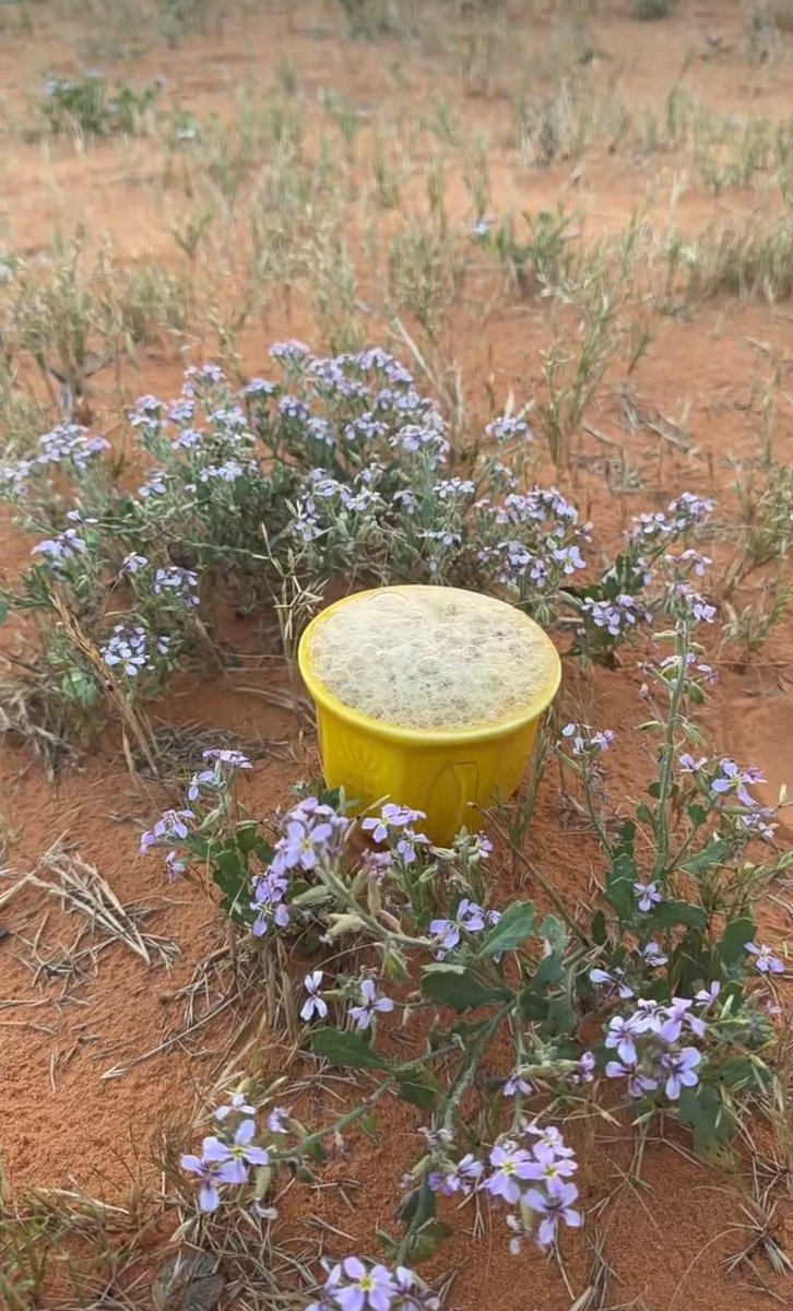 ‏فـوفـــــا .. tweet media