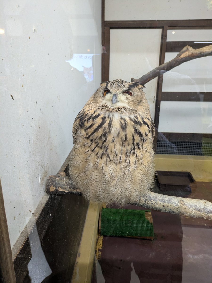 wave@UO介護Cooking tweet media