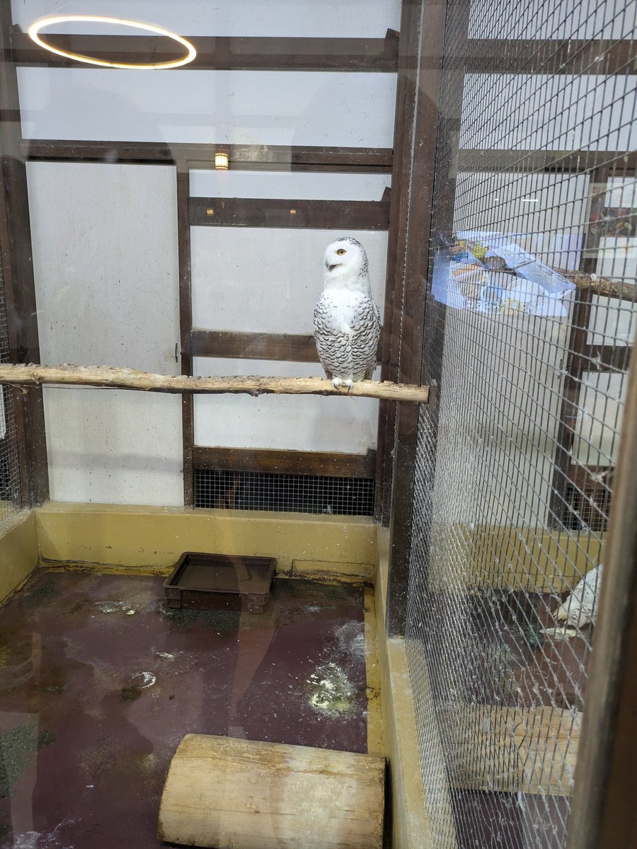 wave@UO介護Cooking tweet media