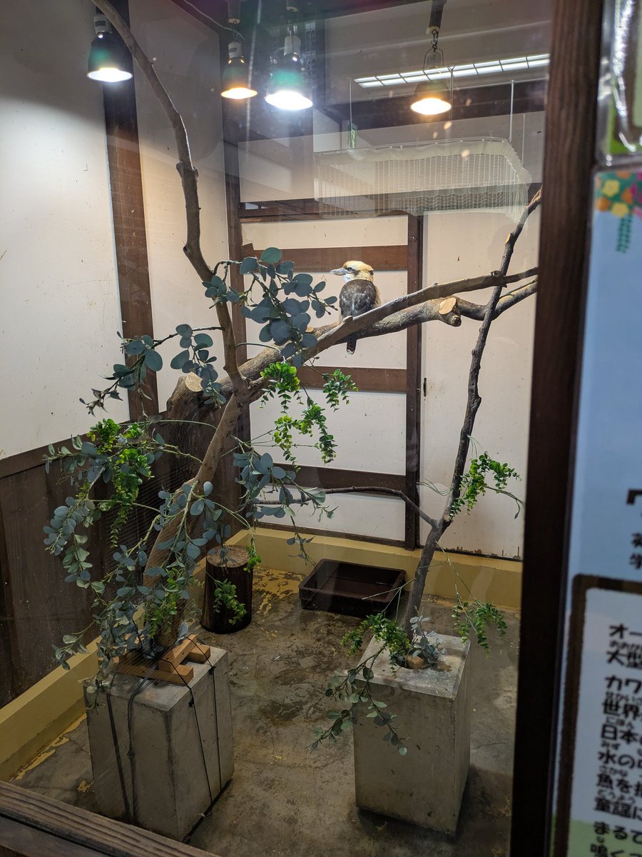 wave@UO介護Cooking tweet media