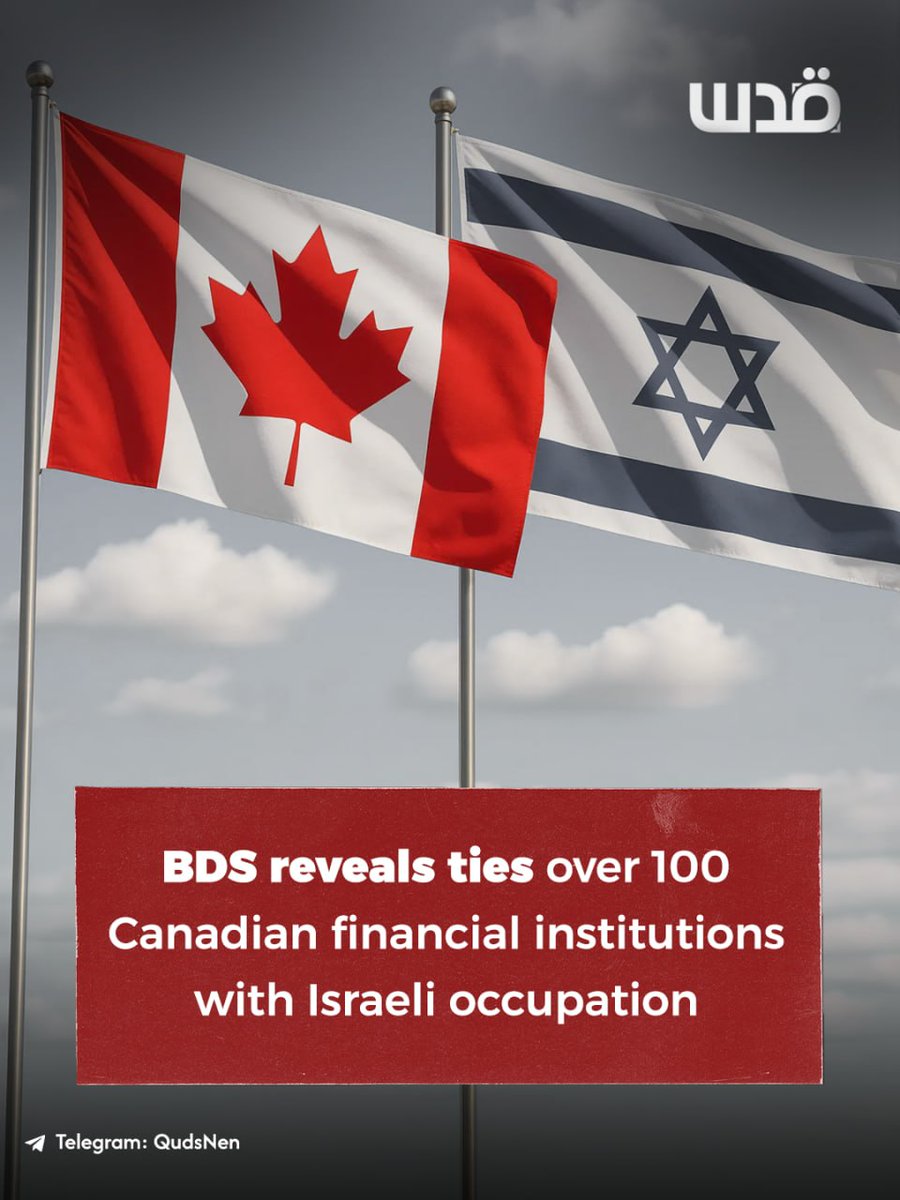 Quds News Network tweet media