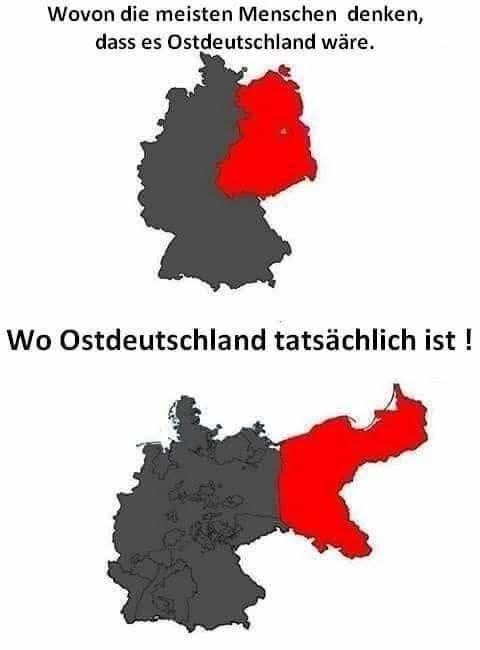 PreußischeWunderKind tweet media