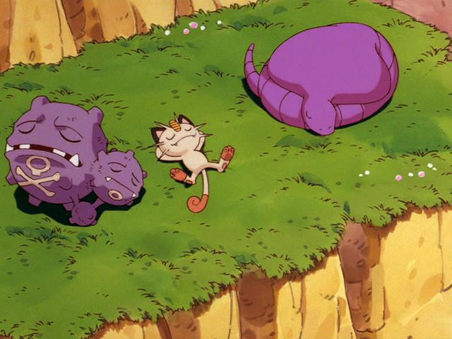 Sheraron🍃🔥💧 tweet media