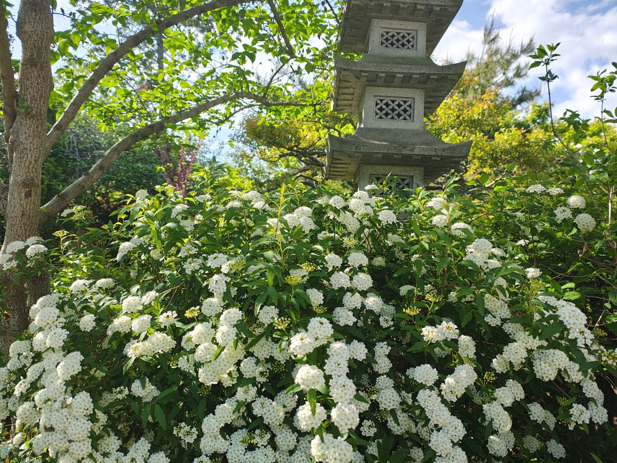 ざんざるぶ tweet media