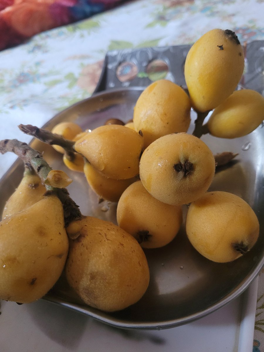 Col AJ🇮🇳 tweet media