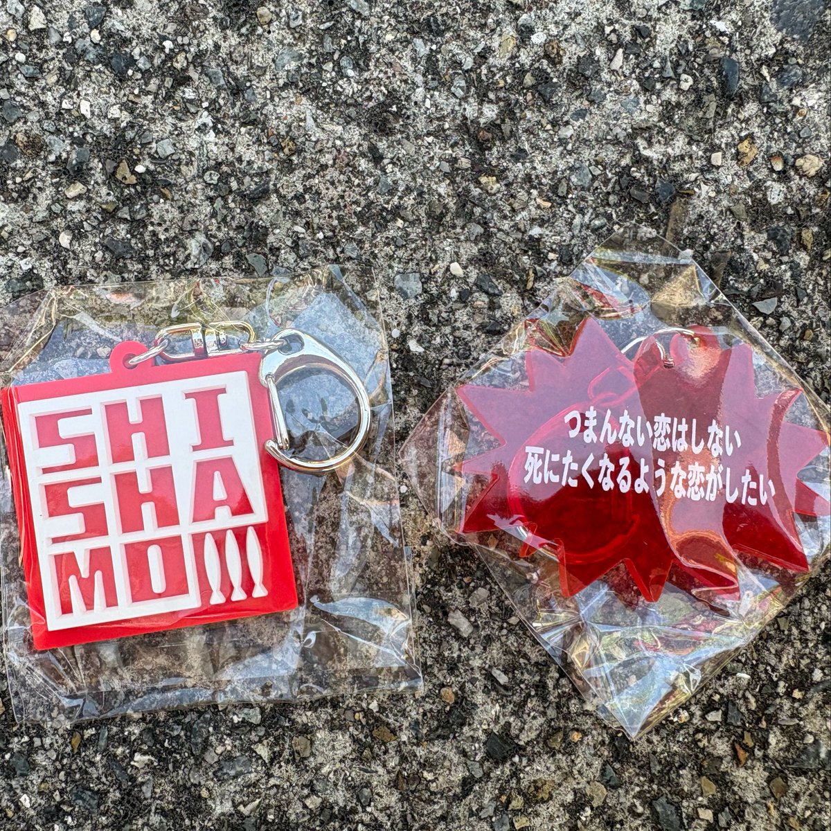 にりん🥦🐟 tweet media