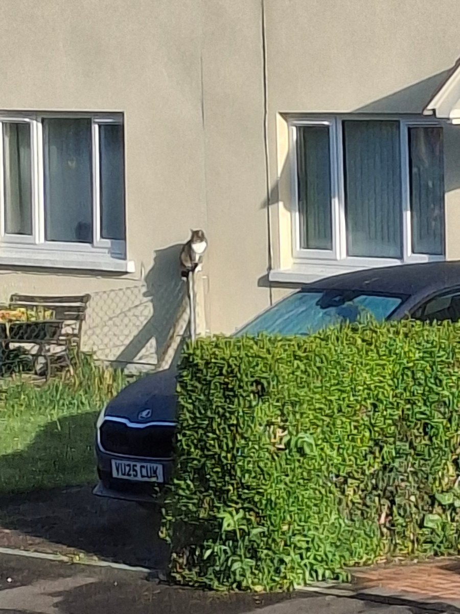 Funny place to sit...