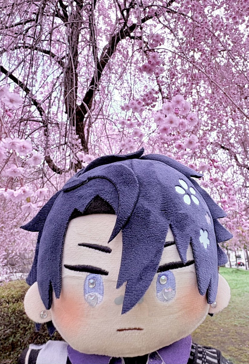 かどい@東1 さ61ab tweet media