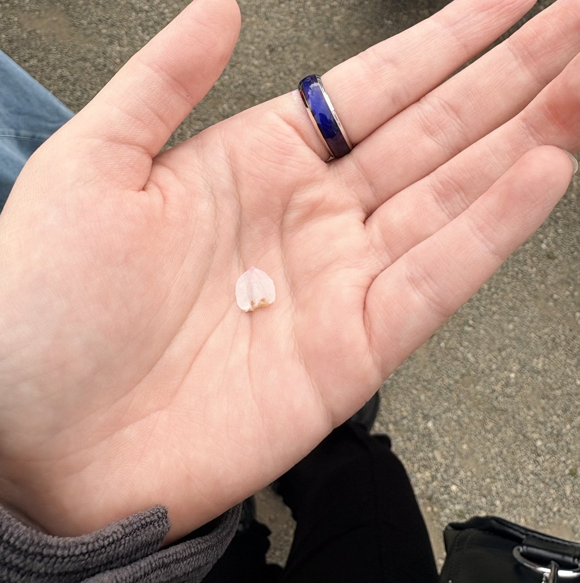 かどい@東1 さ61ab tweet media