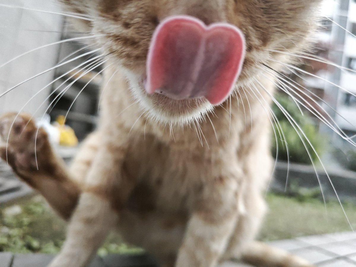 为了萝莉自断一臂遇到了雨夜出逃的麦当劳(Overwatch源神人柱力版)我爱玩源神 刻苦铭心训练游玩 tweet media