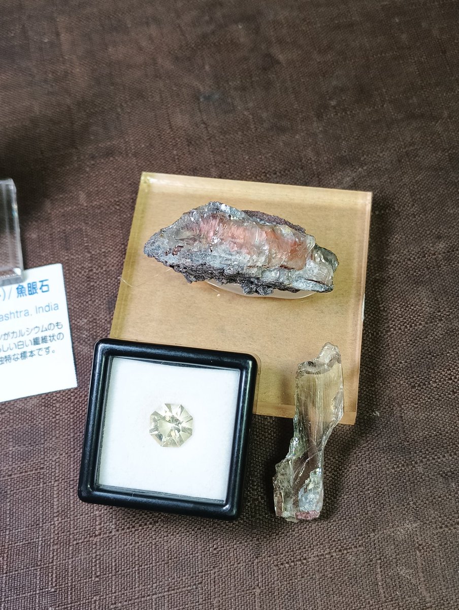 ジャッキー tweet media